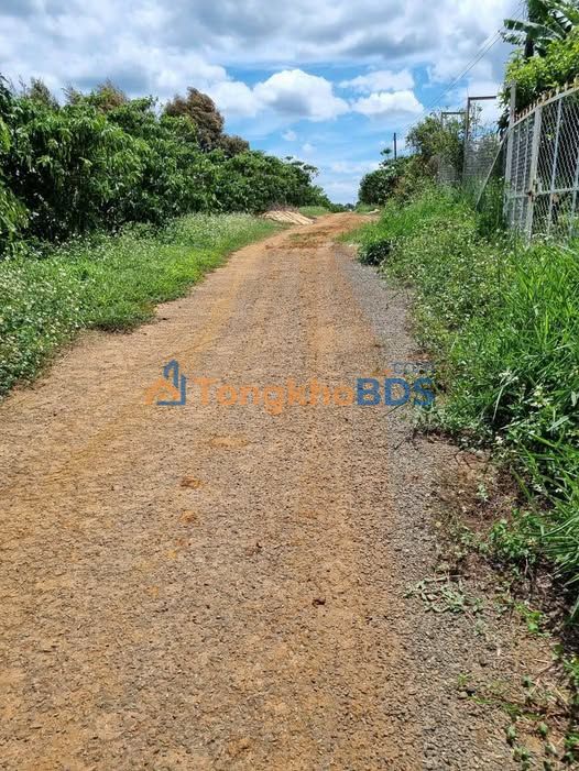 Đất nền Lam Sơn Bảo Lâm 1944m² giá 6 tỷ - Pháp lý rõ ràng