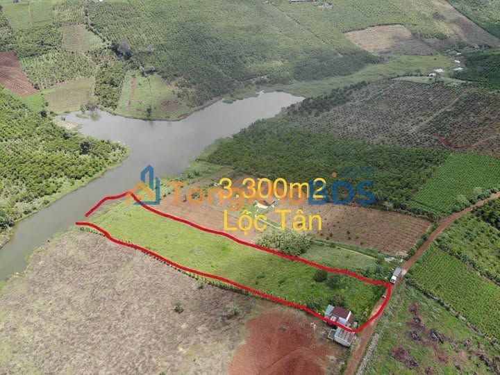 Đất nền Bảo Lộc Thôn 3 3.300m² 5.5 tỷ - Tiềm năng tăng giá