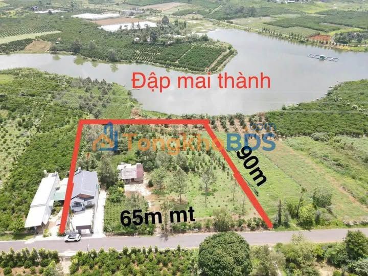 Đất Lê Thị Riêng 5.800m² Bảo Lộc 15 tỷ - Đường to ô tô