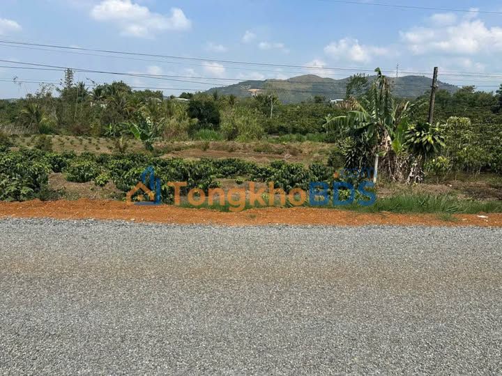 Đất nền Lộc Đức Bảo Lâm 900m² 1.2 tỷ - Xây dựng tự do