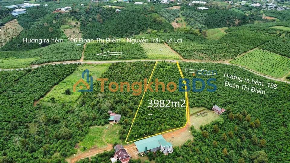 Bán Đất Vườn 3982m² Lộc Thanh, Bảo Lộc - 2 Mặt Tiền Đường, Giá 3.8 Tỷ
