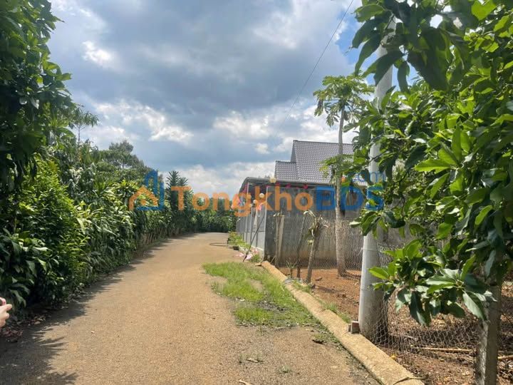 Đất Lý Thường Kiệt Bảo Lộc 100m² 5.3 tỷ - Hạ tầng tốt