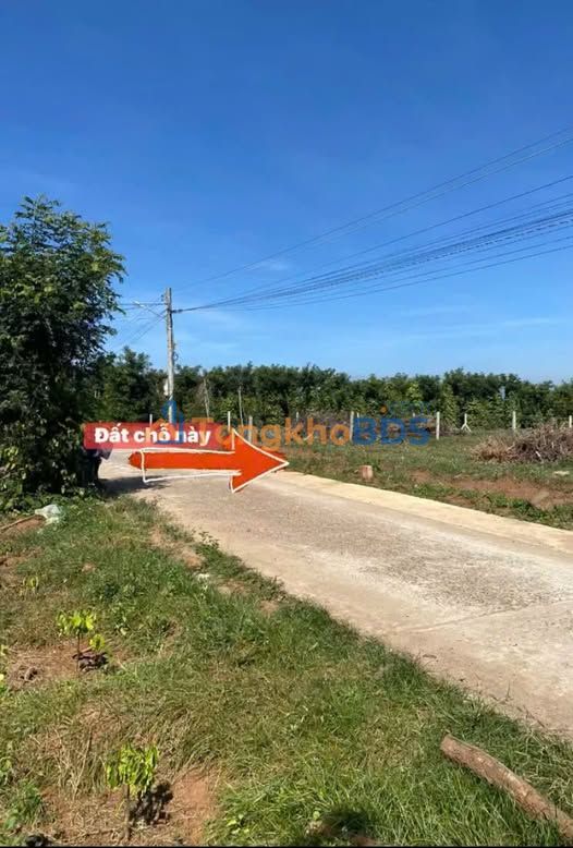 Đất Nền 150m² Đinh Văn, Lâm Hà Giá Chỉ 465 Triệu - Sổ Hồng Riêng