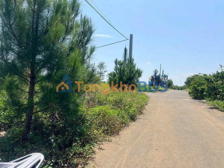 Đất Lộc An, Bảo Lâm 270m² - Hạ Giá Bán Gấp, Đường Nhựa Tới Đất