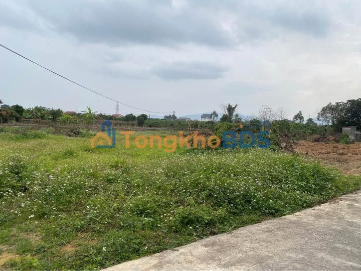 Bán Đất Vườn 1800m² Phường Chũ, Bắc Giang - Sổ TC, Mặt Đường Bê Tông