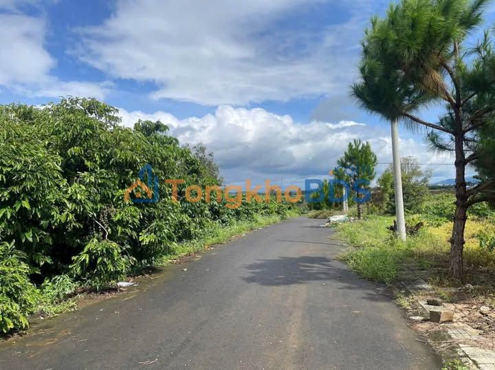 Đất nền Lộc An, Bảo Lâm 100m² - Sổ hồng sẵn, giá 380 triệu