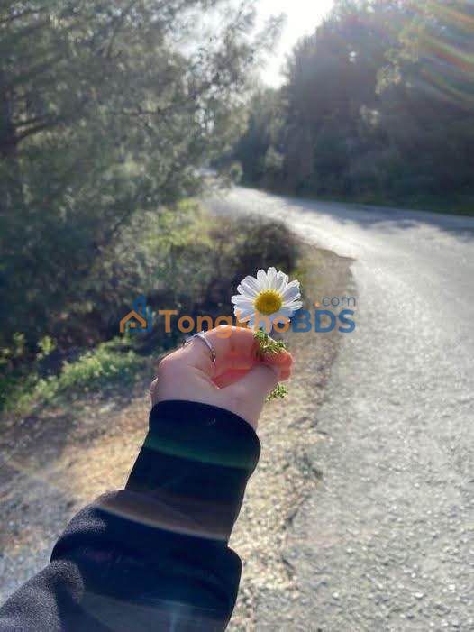 Đất nền Ngô Quyền Di Linh 910m² - Sổ đỏ chính chủ