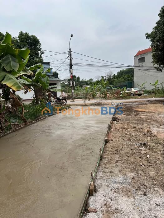 Bán Đất Mặt Tiền Trục Chính Kim Chàng, Tân Yên, Bắc Giang - 300m² Tặng 1000m² Ao