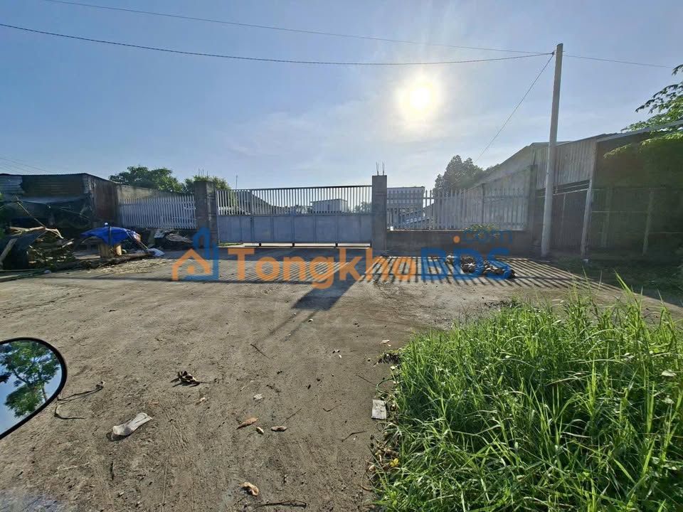 Đất nền QL50 Long An 1.000m² 13 tỷ - Sổ đỏ chính chủ