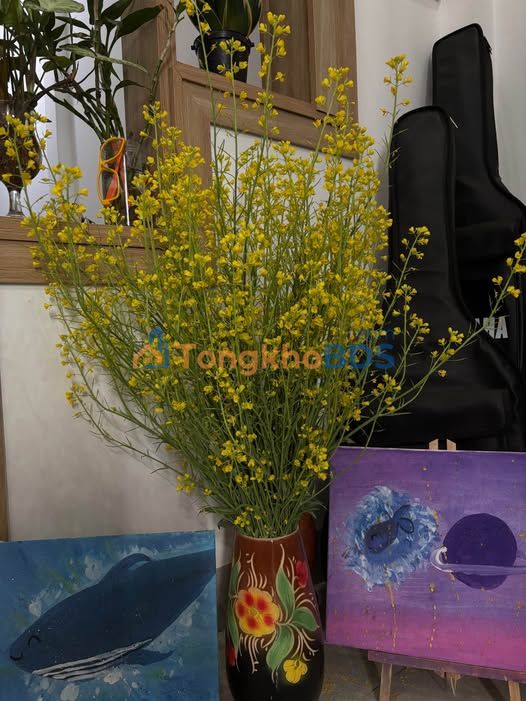 Đất Thổ Cư 141m² Phù Đổng Thiên Vương Đà Lạt - Sổ Hồng Riêng, Giá 2.55 Tỷ