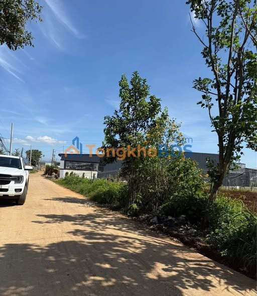 Đất Liên Hiệp Đức Trọng 279m² 2,05 tỷ - Thổ cư 100%