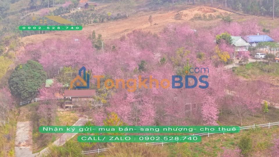 Đất vườn Đạ Sar 5000m² 20 triệu - Sinh thái xanh