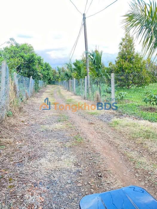 Đất nền Phường Lộc Sơn Bảo Lộc 600m² giá 1 tỷ - Sổ đỏ chính chủ