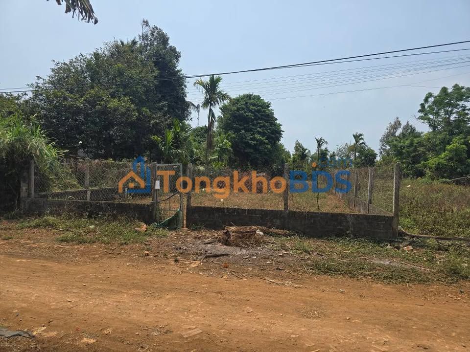 Đất nền Đường Tránh Đông, Đông Hòa 270m² 779 triệu - Sổ đỏ chính chủ