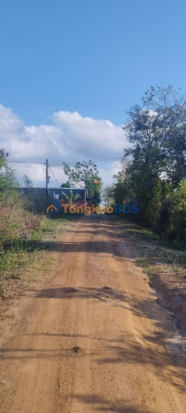 Đất Nền Ea Kar - Đắk Lắk | 3240m² | Hơn 500 Triệu - Sẵn Sổ