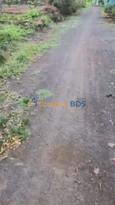 Bán Đất Vườn Xã Hòa An, Krông Pắc - 354m² - Sổ Đỏ Riêng