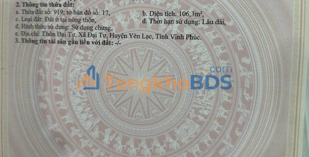 Đất đấu giá Đại Tự, Yên Lạc 106m² - Sẵn sổ, giá tốt đầu tư