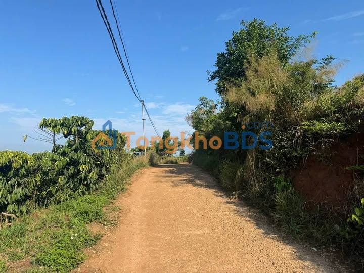 Đất nền Tân Thượng Di Linh 648m² 950 triệu - Sổ đỏ chính chủ