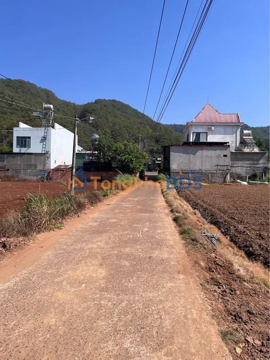 Đất Nền Đức Trọng 295m² Sổ Đỏ Chính Chủ - Gần QL27, Hoàng Hoa Thám