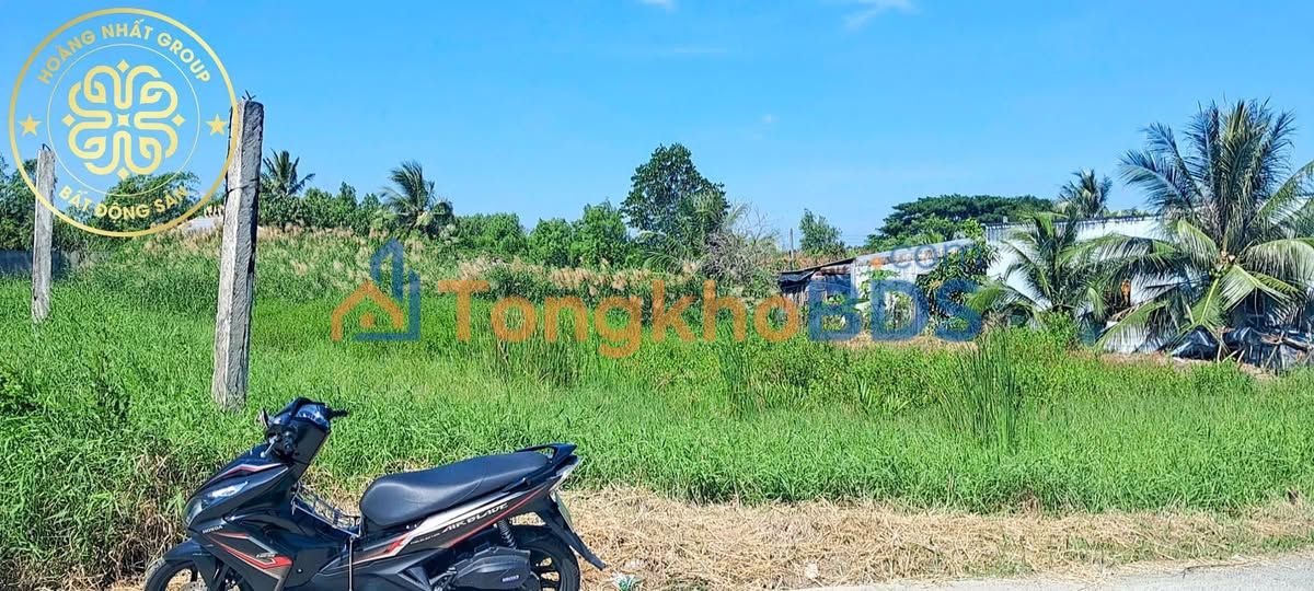 Bán Đất Mặt Tiền Cà Mau 1130m² - Vị Trí Đắc Địa, Giá 2 Tỷ