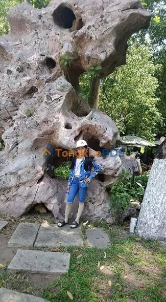 Đất nền QL1A Cái Nước 395m² 1.45 tỷ - Đường to ô tô