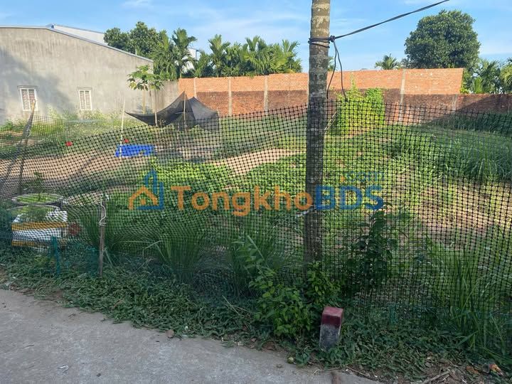 Đất nền Trường Quang Trọng 125m² 400-499 triệu - Tiềm năng tăng giá