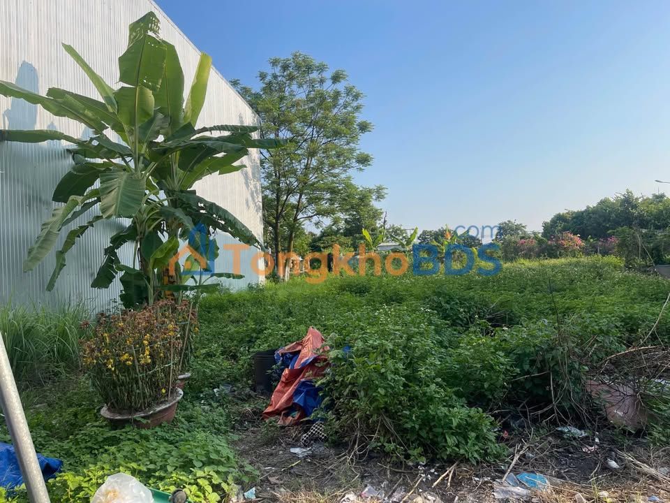 Đất nền Bùi Cẩm Hổ 100m² 4.3 tỷ - Pháp lý rõ ràng