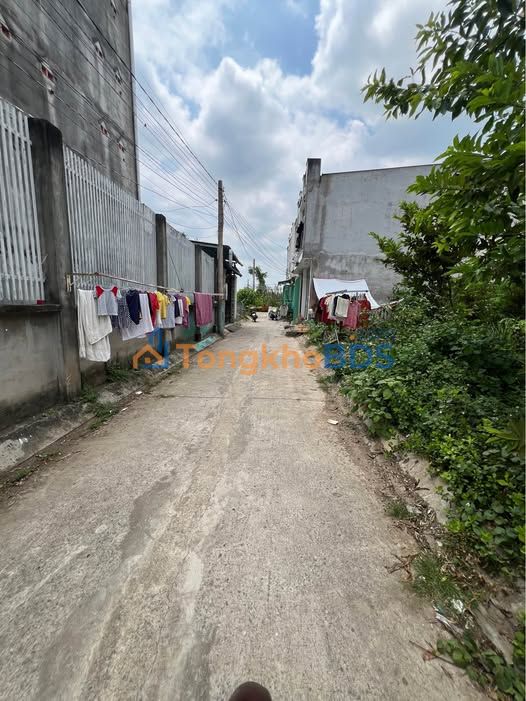 Đất nền Cần Giuộc 80m² 1.65 tỷ - Sổ đỏ chính chủ ôtô vào