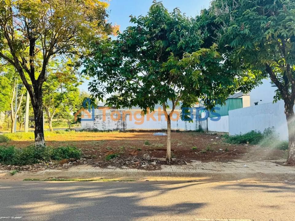 Đất 2 Mặt Tiền Lô 90 – Ngay Sân Bay Liên Khương – 325m² – 10.5 Tỷ