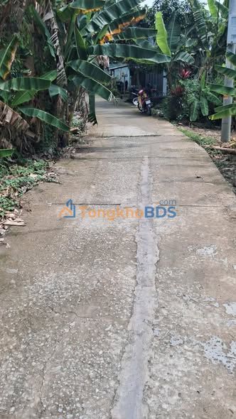 Bán Gấp 2.5 Công Đất Vườn An Giang - Sẵn Nền Đẹp