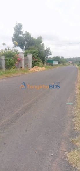 Đất nền TL683 Đắk Sôr 1300m² 110.5 tỷ - Đường to ô tô