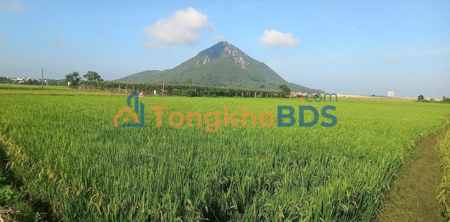 Farm Phường 9 Tuy Hòa 1080m² 195 triệu - Sinh thái xanh