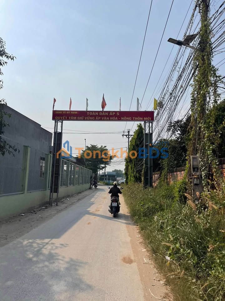 Đất nền Đức Hòa Đông 1.278m² 4.6 tỷ - Tiềm năng tăng giá