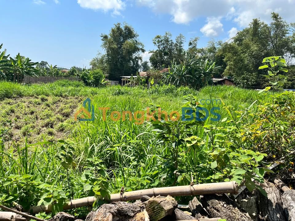 Đất nền An Mỹ Tuy An 140m² 500-599 triệu - Giá tốt hiếm có