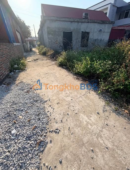 Đất nền 66m² Kiến An, Hải Phòng - Ngõ ô tô, Giá 1.3 tỷ