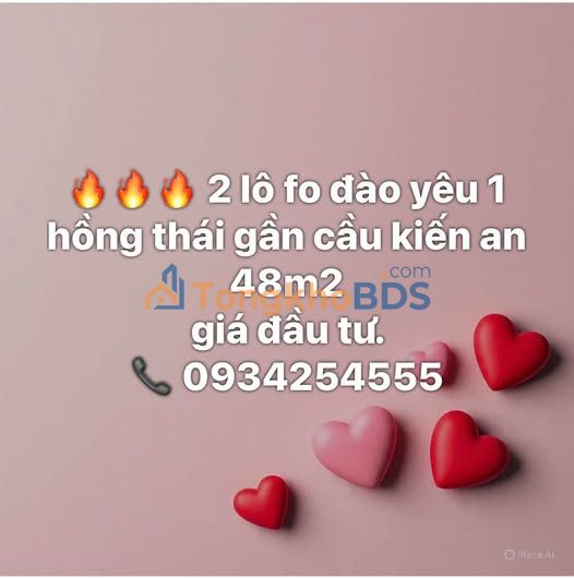 Đất Kiến An Đồng Hoà 48m² giá đầu tư - Tiềm năng tăng giá