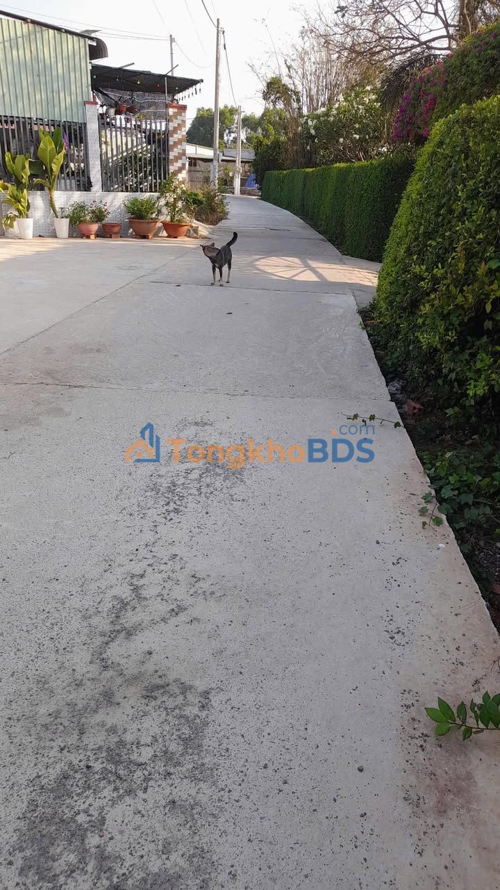 Đất Đất Đỏ - Sổ Sẵn 110m² (5x22m) - Giá 800 Triệu