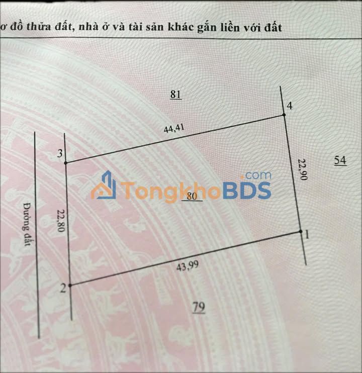 Đất nền Ấp 3 Phước Bình 1000m² giá đầu tư - Giá tốt hiếm có
