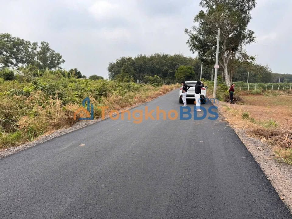 Đất nền Đá Bạc Vũng Tàu 255m² 1.2 tỷ - Sổ đỏ chính chủ