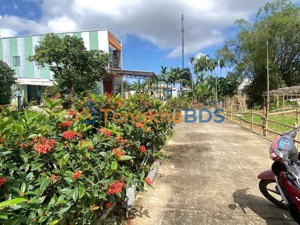 Đất Duy Nghĩa 245m² giá 6xx triệu - Giá tốt hiếm có