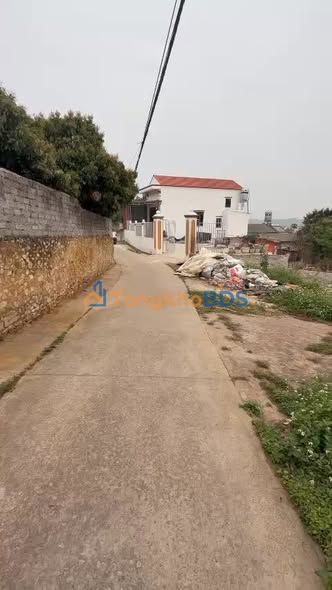 Đất Lục Nam 316m² - Sổ Thổ Cư, Đường Ô Tô Tận Nơi