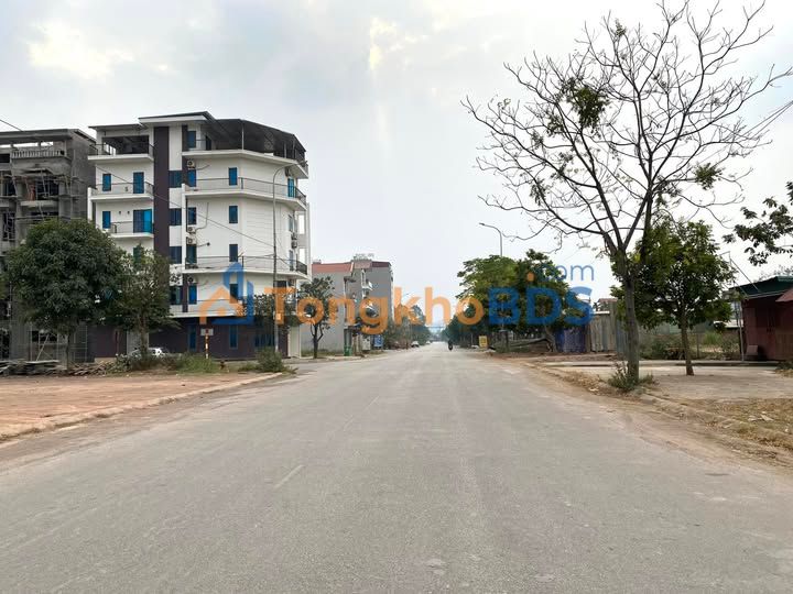 Đất nền Mặt tiền Đào Thục Viện 80m² - Kinh doanh sầm uất Bắc Giang