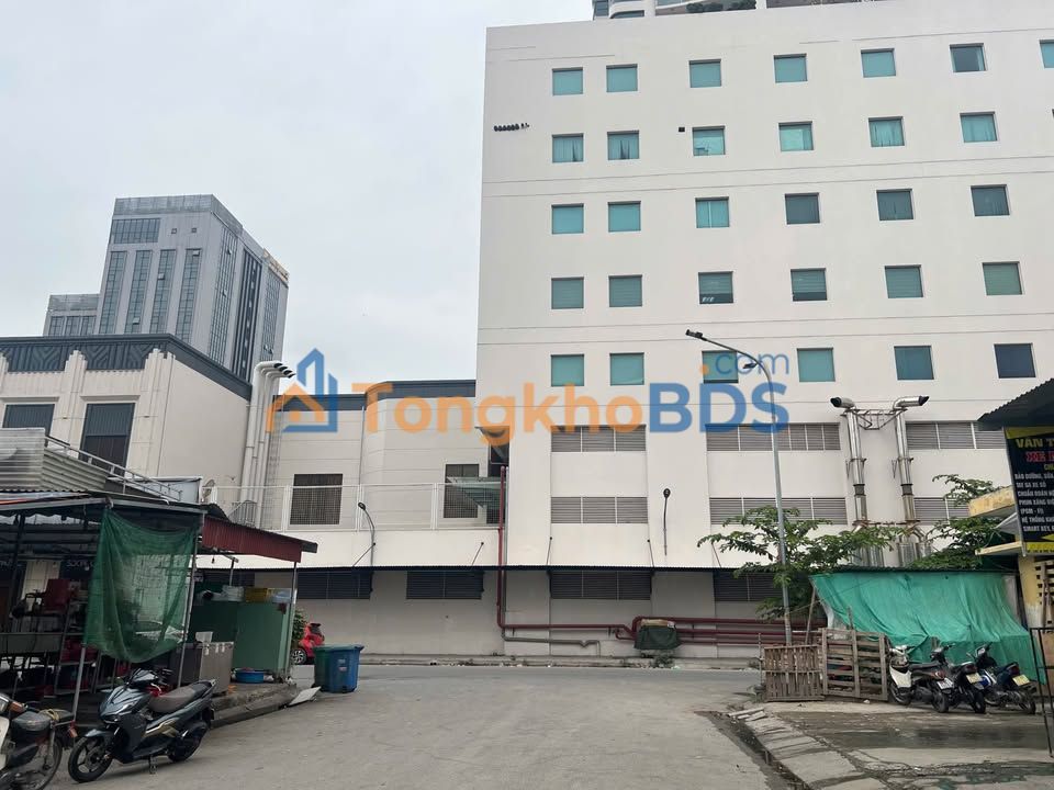 Bán Gấp 3 Lô Đất Vàng 180m² Sau Parkson, Hải Phòng - Giá Tốt