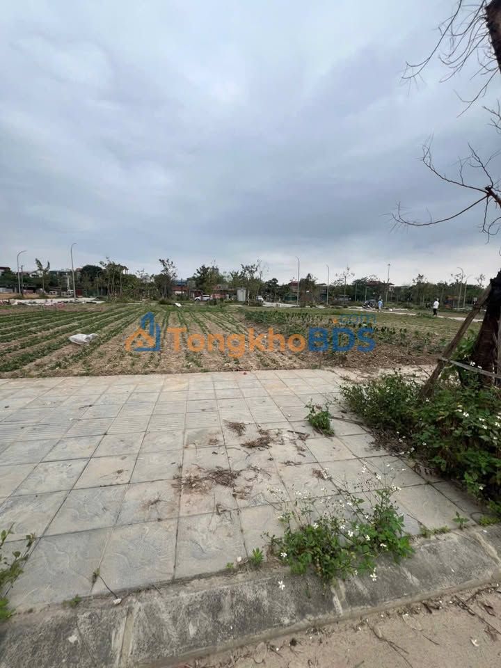 Đất nền Thôn Hà Khê Vân Hà 80m² giá thỏa thuận vị trí đẹp