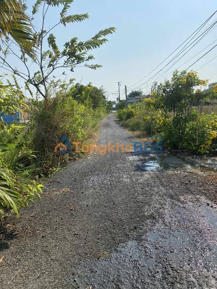 Đất vườn Tân Trung Gò Công 1.795m² 4 tỷ - Sổ hồng chính chủ