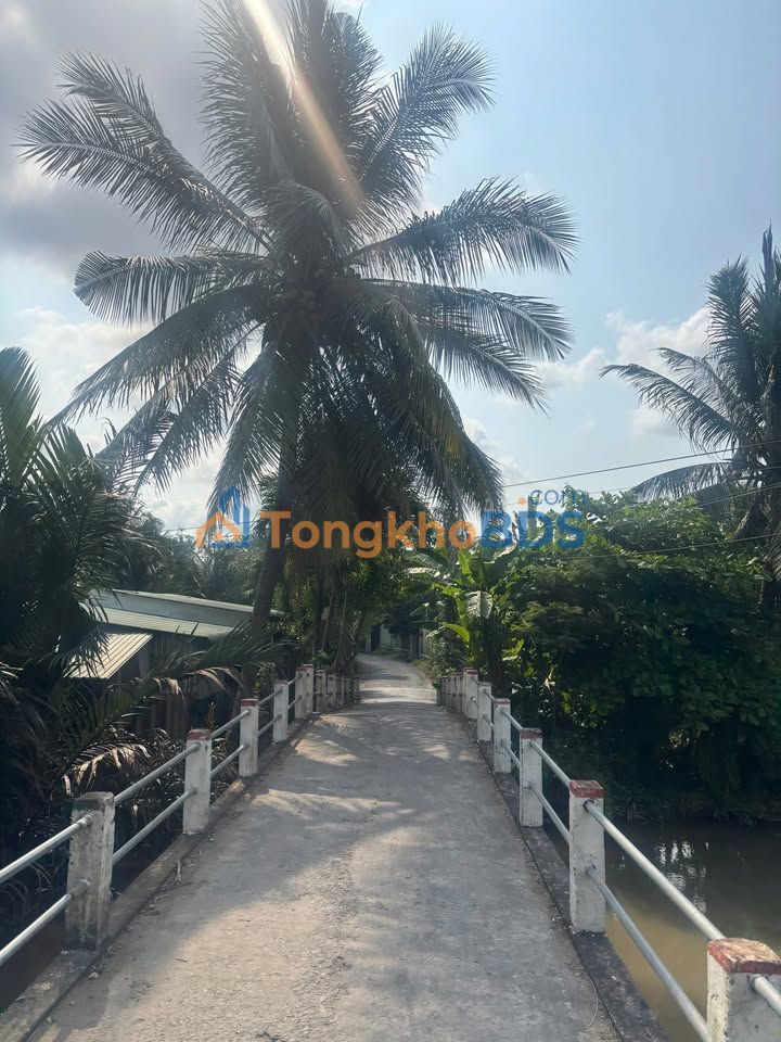 Bán Gấp Đất Thổ Cư 140.8m² Mặt Tiền QL50 Mỹ Tho - Giá Rẻ 960 Triệu