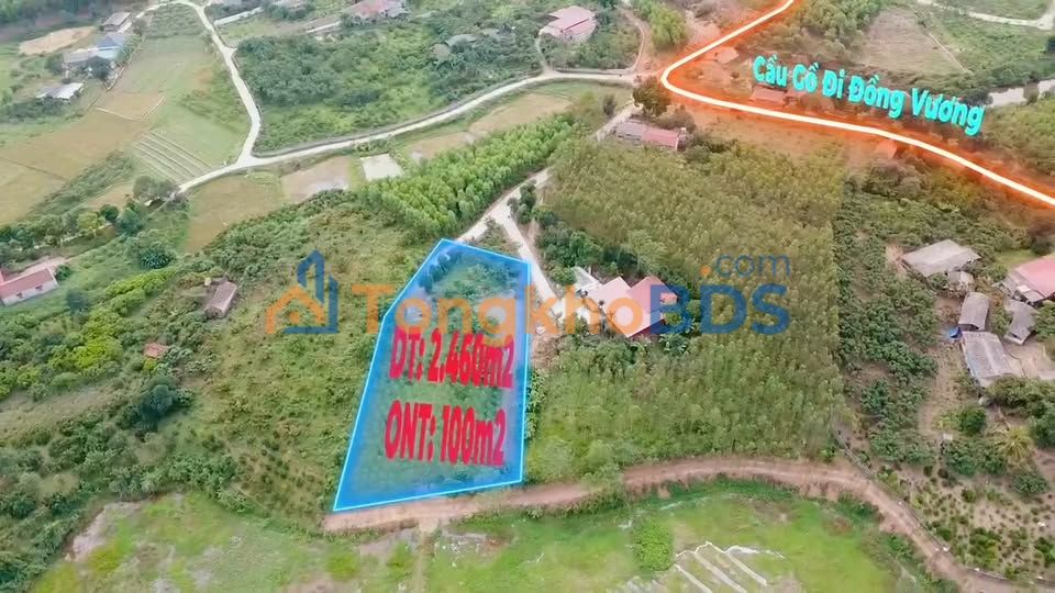 Bán Đất Vườn 2500m² Yên Thế, Bắc Giang - Sổ Đỏ Thổ Cư, Hai Mặt Tiền