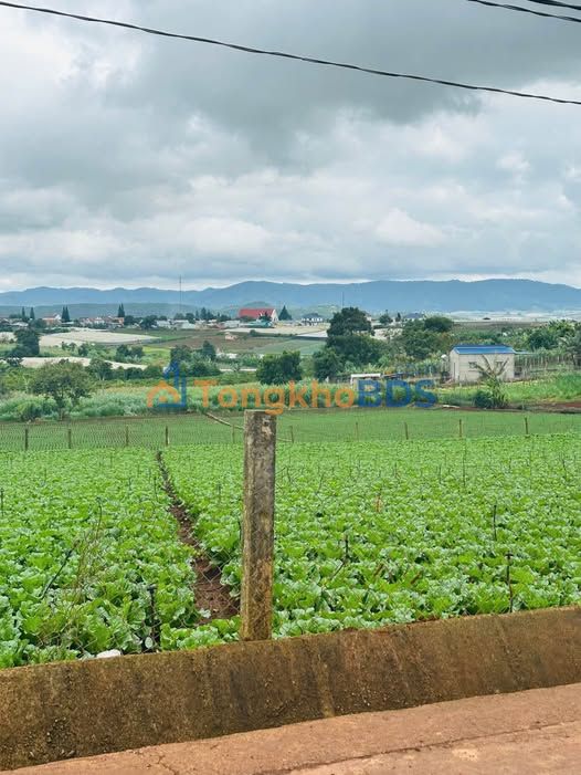 Đất nền Đạ Ròn 150m² giá 670 triệu - Đất thổ cư 100%