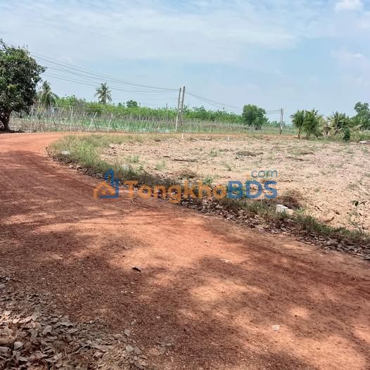 Đất nền góc 2 mặt tiền 220m² tại Tây Ninh - Chỉ 210 triệu