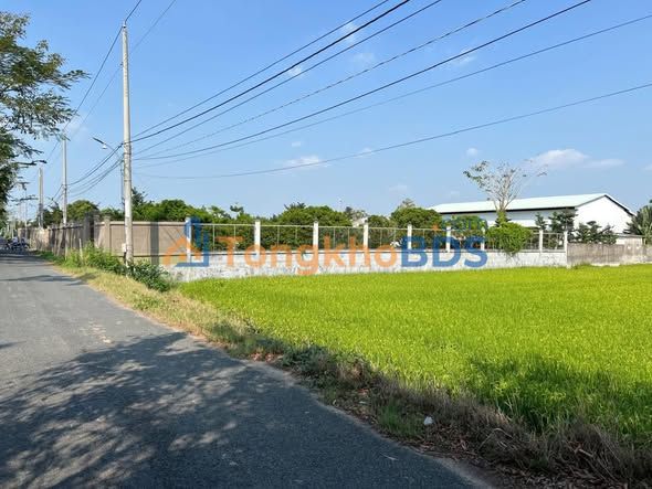 Đất Mỹ Thới Long Xuyên 2.955m² 2 tỷ - Sổ đỏ chính chủ